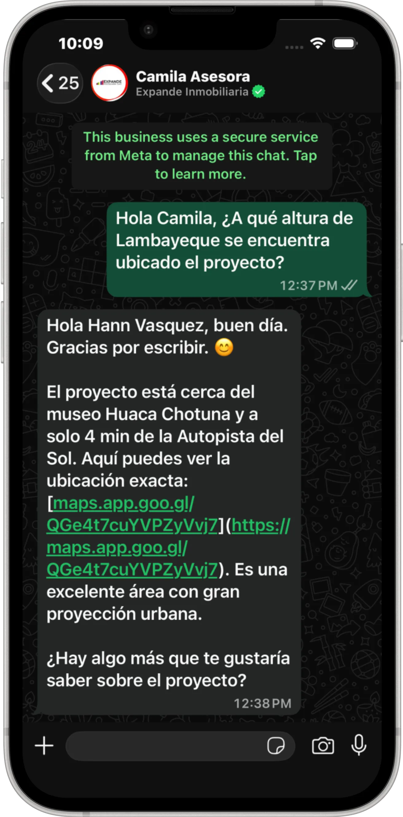 Conversación con Camila, asistente virtual de Expande Inmobiliaria